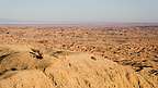 Tiny Lolo, Big Badlands at Vista del Malpais